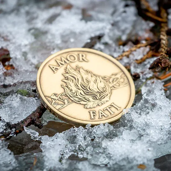 Amor Fati (Love of One's Fate) Golden Coin