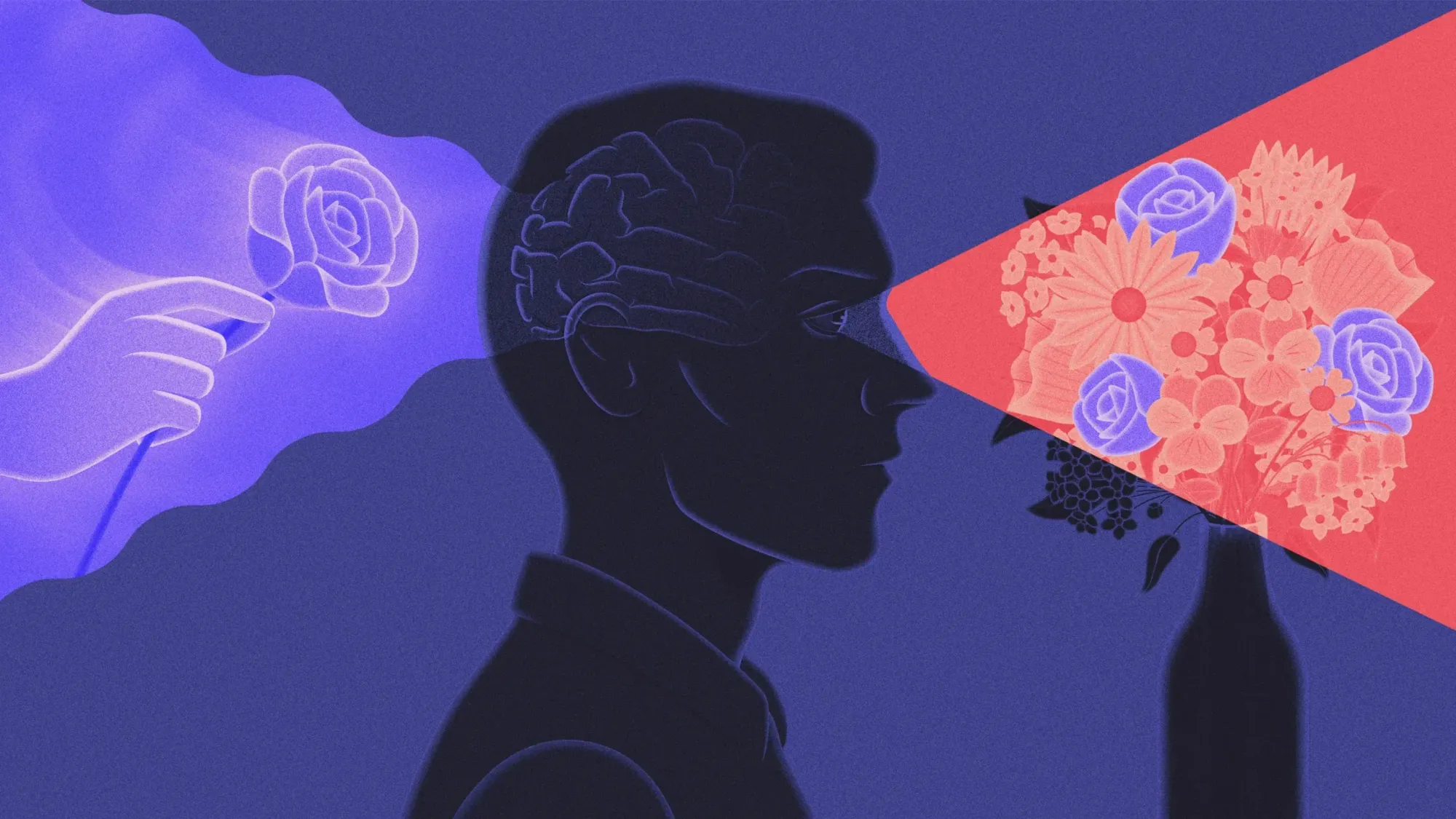 old memories affects how the brain makes new memories