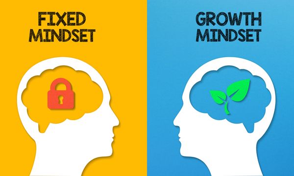 Growth Mindset vs. Fixed Mindset: What's the Difference?