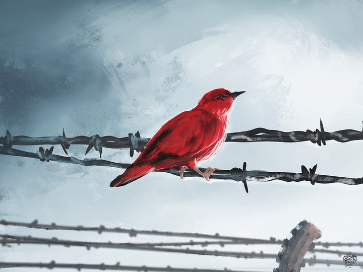 Man's Search for Meaning by Viktor Frankl — Book Summary and Notes